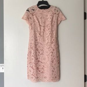 Light pink Lace Lined dress